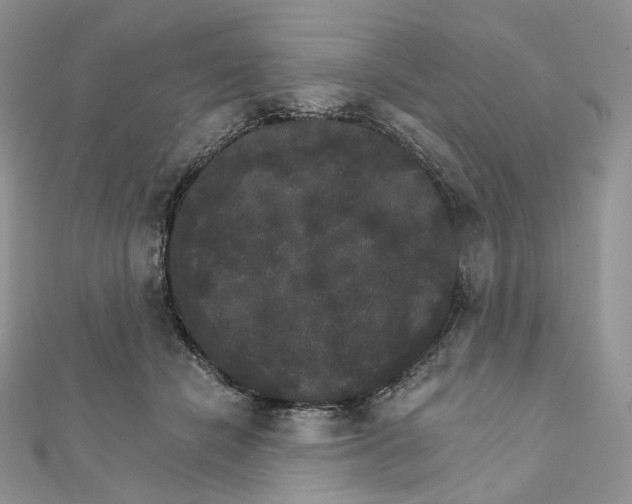 X0000111800462200908061202
