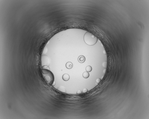 X0000111800463200908061202