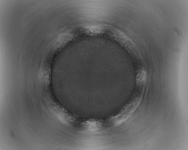 X0000111800464200908061202