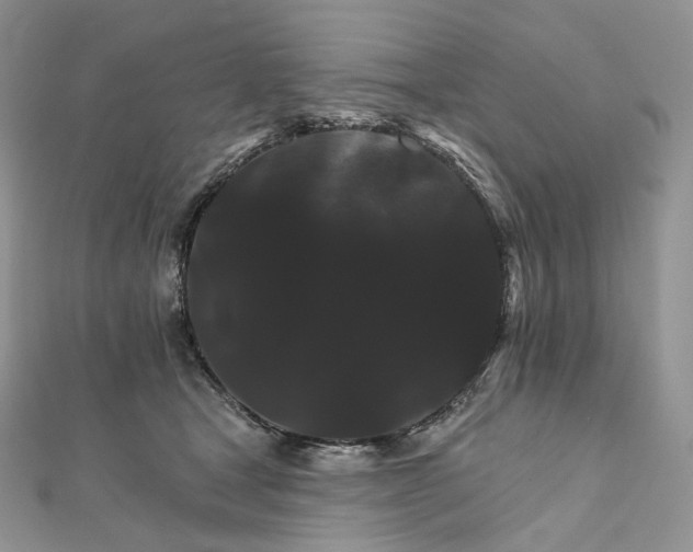 X0000111800465200908061202