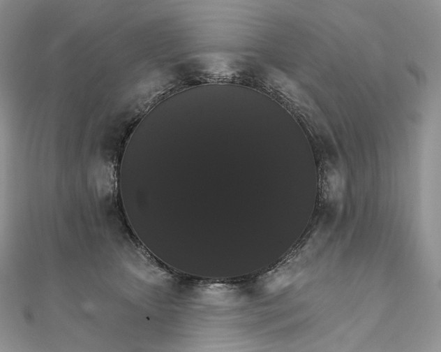 X0000111800467200908061202