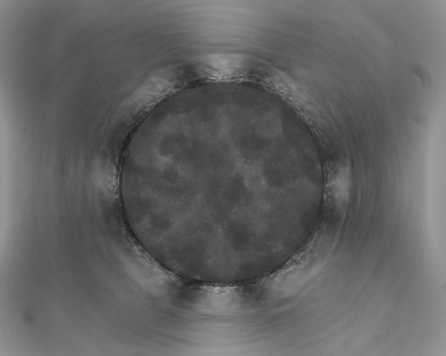 X0000111800469200908061202