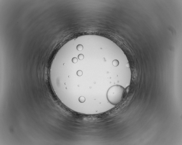 X0000111800470200908061202