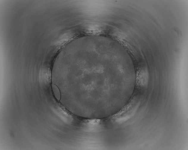 X0000111800474200908061202