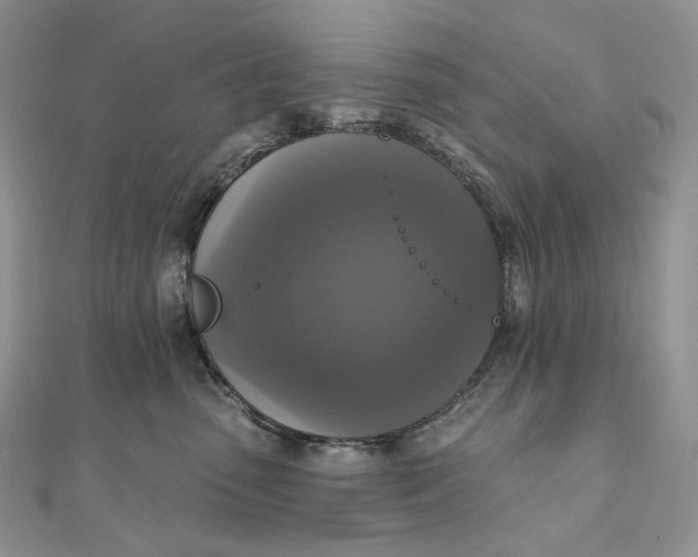 X0000111800475200908061202