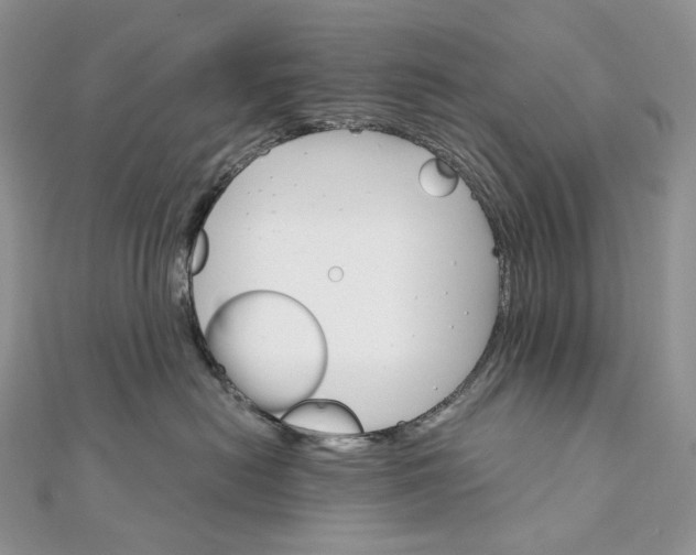 X0000111800478200908061202