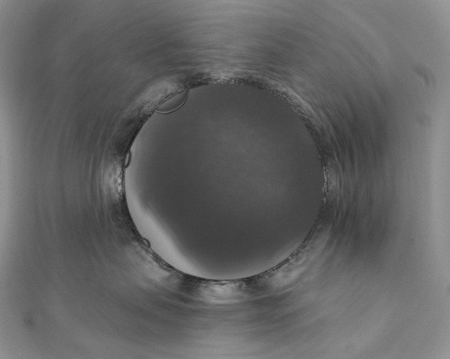 X0000111800479200908061202