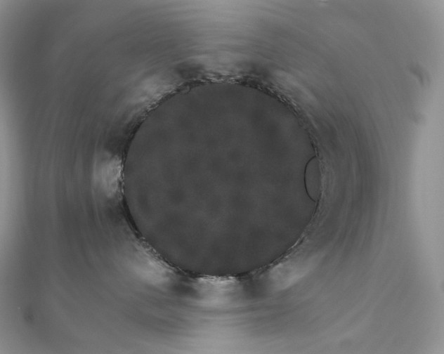 X0000111800480200908061202