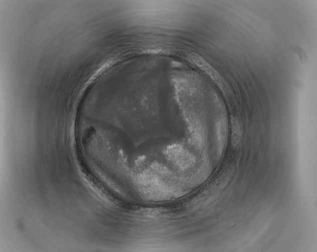 X0000111800482200908061202