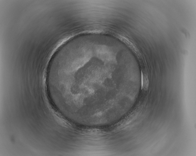 X0000111800483200908061202