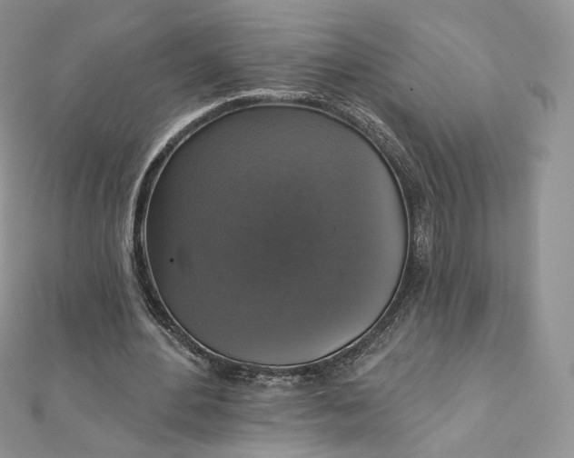 X0000111800484200908061202