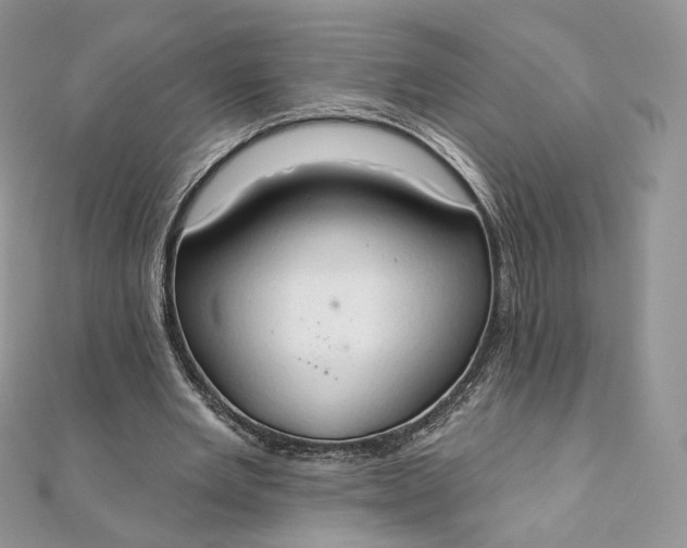 X0000111800485200908061201