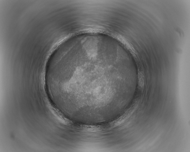 X0000111800486200908061201