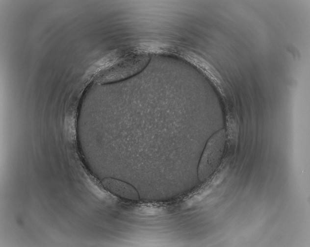 X0000111800489200908061201