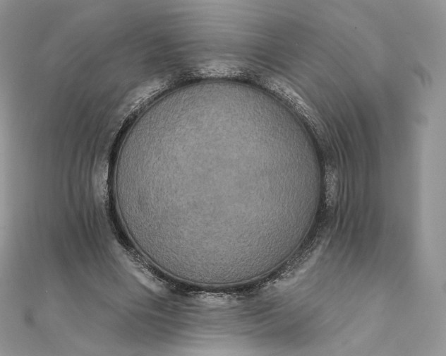 X0000111800490200908061201