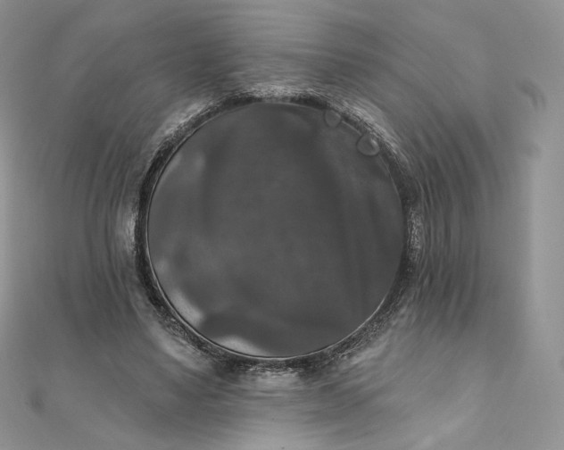 X0000111800491200908061201