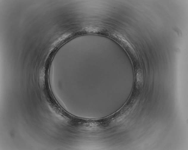 X0000111800492200908061201