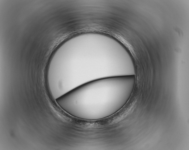 X0000111800493200908061201