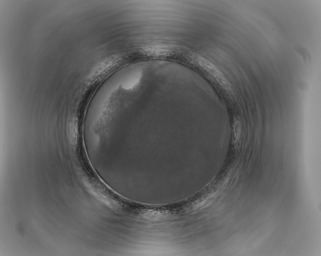 X0000111800494200908061201