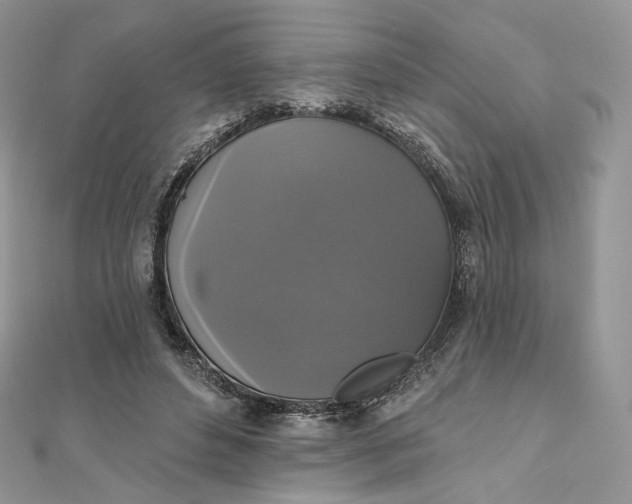 X0000111800496200908061201