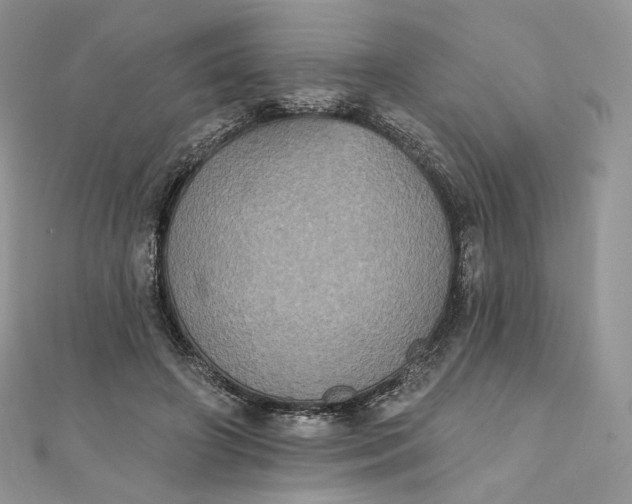 X0000111800498200908061201