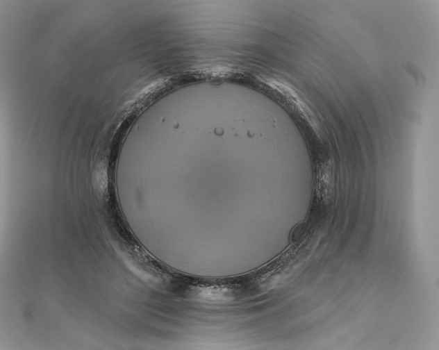 X0000111800500200908061201