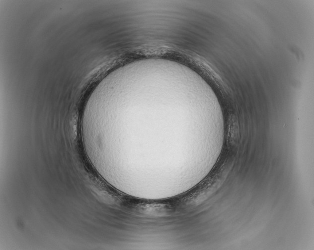 X0000111800501200908061201