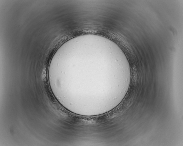 X0000111800502200908061201