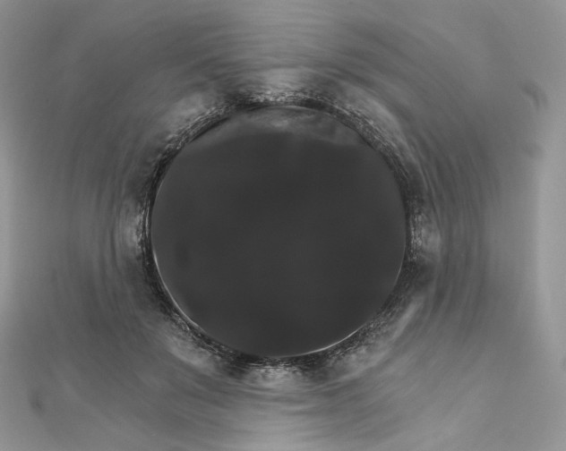 X0000111800503200908061201