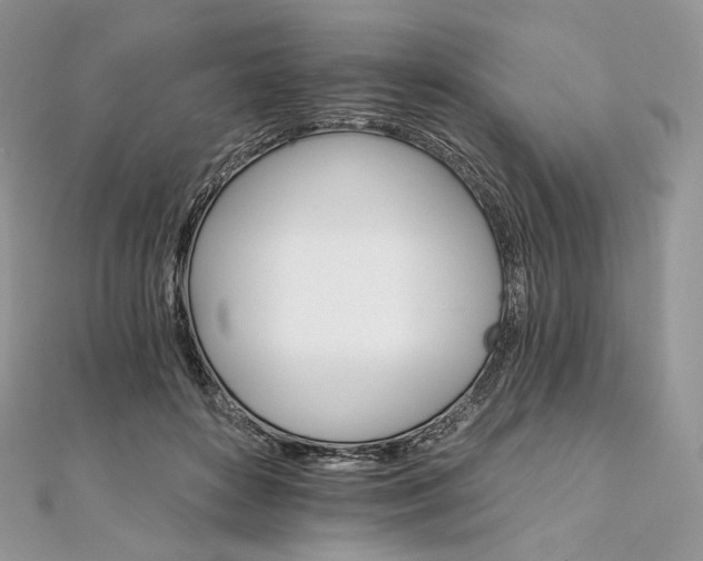 X0000111800504200908061201