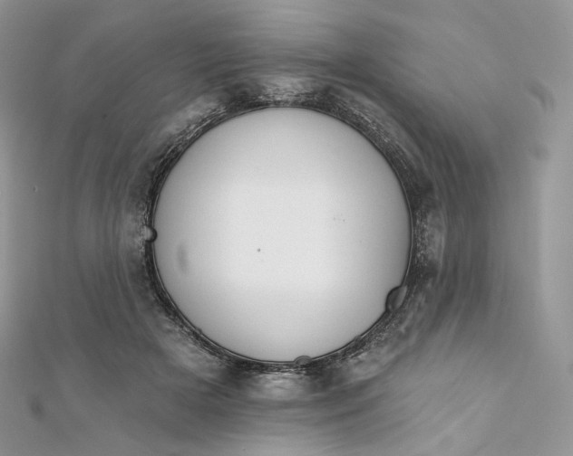 X0000111800505200908061201