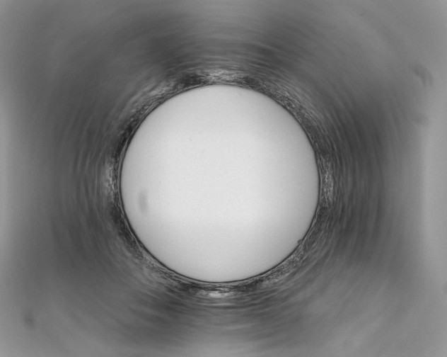 X0000111800506200908061201