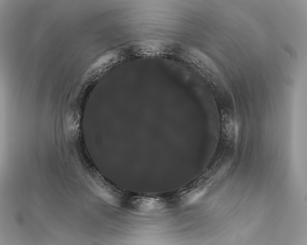 X0000111800507200908061201