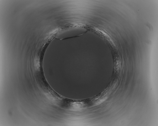 X0000111800508200908061201