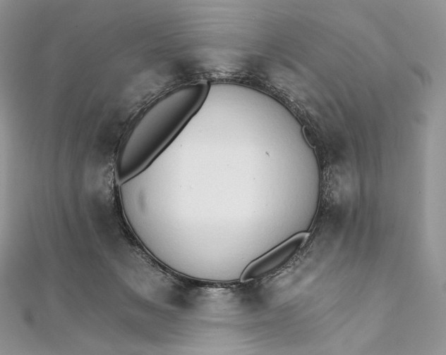 X0000111800509200908061201