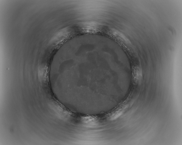 X0000111800511200908061201
