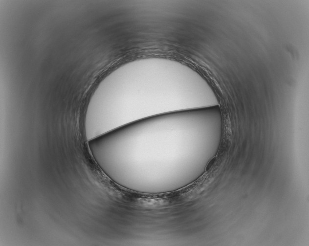 X0000111800512200908061201