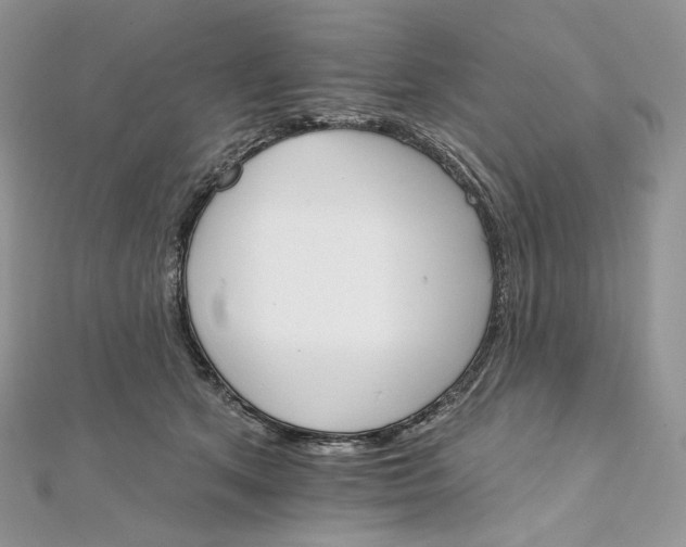 X0000111800513200908061201