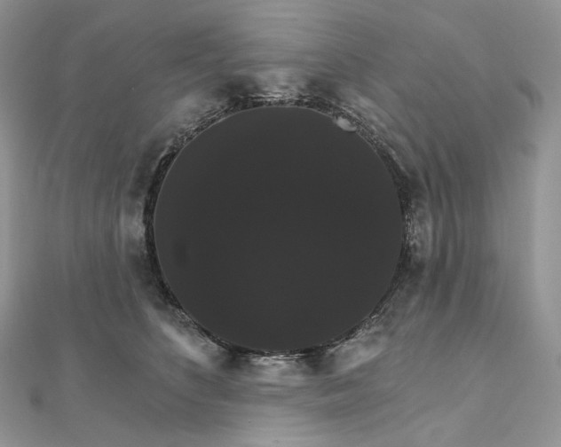X0000111800516200908061201