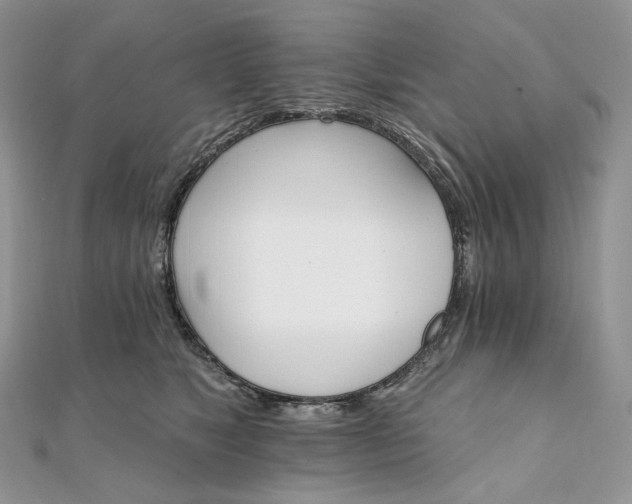 X0000111800517200908061201