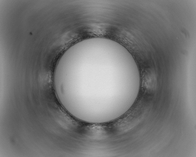 X0000111800518200908061201