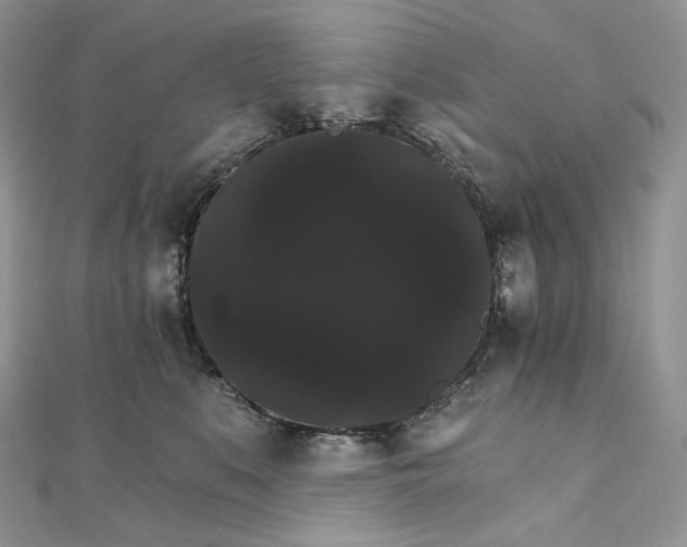 X0000111800519200908061201