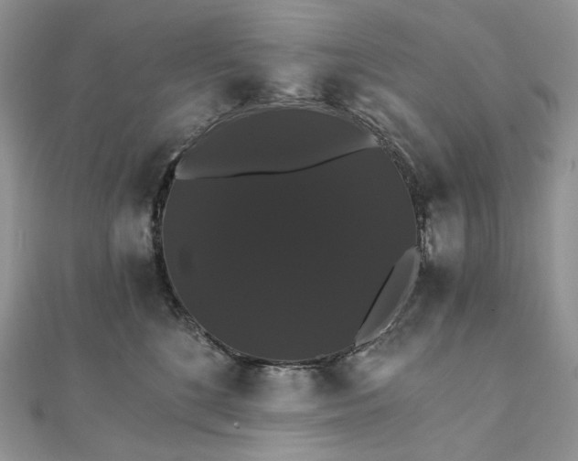 X0000111800520200908061201