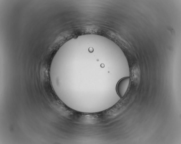 X0000111800522200908061201