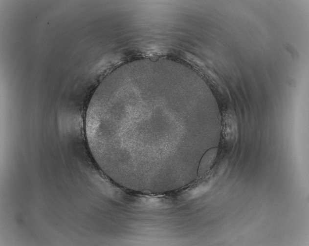 X0000111800523200908061201