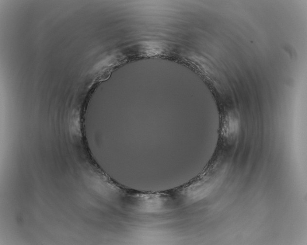 X0000111800524200908061201