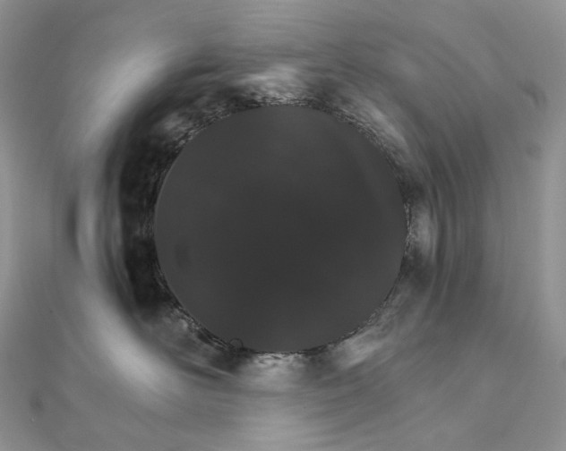 X0000111800526200908061201