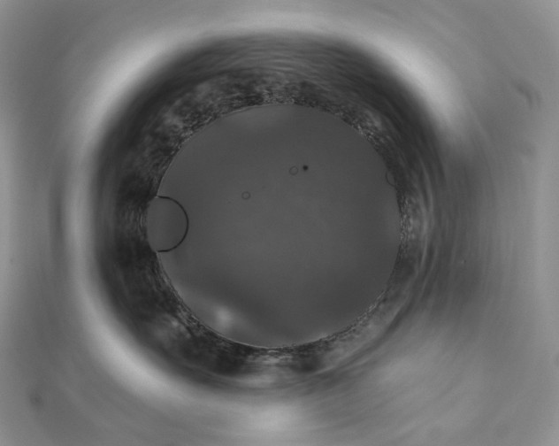 X0000111800527200908061201