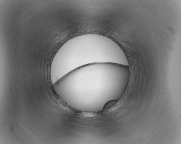 X0000111800528200908061201