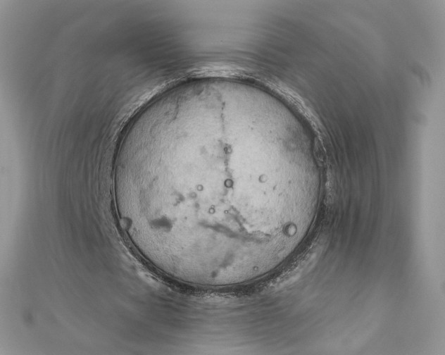 X0000111800529200908061200